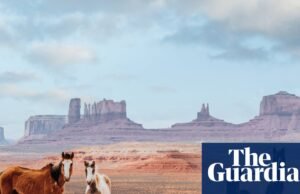 Tom’s Crossing de Mark Z Danielewski – El autor de House of Leaves regresa con un western de 1.200 páginas | Ficción