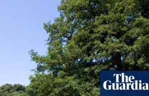 Debemos restaurar la conexión de Gran Bretaña con la naturaleza | Biodiversidad