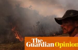 La era de los buenos discursos y las buenas intenciones ha terminado. La Cop30 brasileña estará bajo el signo de la acción | Luiz Inácio Lula da Silva