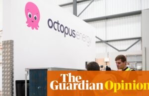 Eliminar los subsidios verdes es un sabotaje a corto plazo y, como siempre, el consumidor pagará | camilla nace