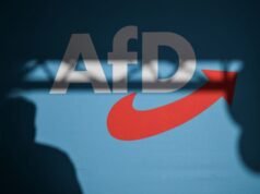 Los alemanes están divididos sobre la cooperación con la extrema derecha AfD, según una encuesta