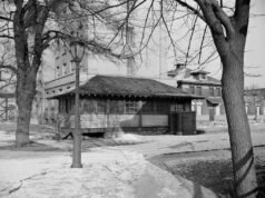 El 11 de noviembre murió “María Tifoidea”