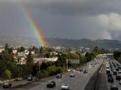 Nuevamente se revisan las reglas de Oakland contra los camiones pesados en la I-580