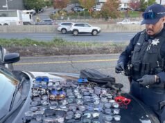 Hombre de Península de 3 años arrestado por robar 90 pares de anteojos – The Mercury News