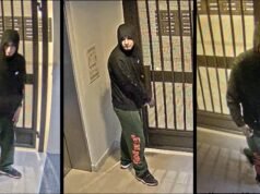 Se busca sospechoso por una serie de robos de vehículos en San José