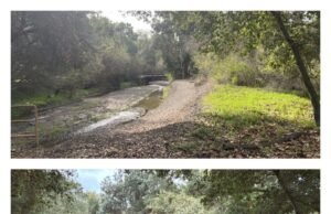 Mantener los arroyos preparados para las tormentas invernales requiere un mantenimiento continuo – The Mercury News