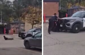 Coche de policía atropella al sospechoso cuando el agente se olvida de aparcar, vídeo