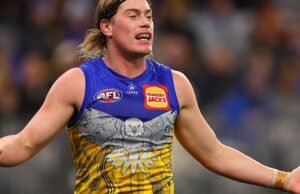 Harley Reid de West Coast Eagles habla de una extensión de contrato por 2 millones de dólares; decisión de no irse