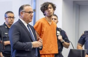 La violencia doméstica requiere respuesta policial, retiro federal de los programas de alimentos y otros comentarios