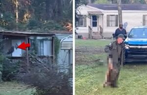 Mire el momento en que mamá de Mississippi mata a un mono fugitivo en video