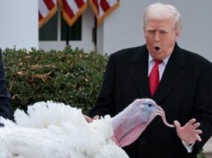 La gratitud no es un “problema”: recuperemos la humildad