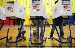 Gracias neoyorquinos por acudir a las urnas. Espero que hayan tomado una decisión acertada.