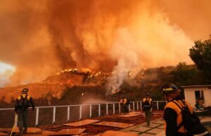 Los Ángeles puso la política en primer lugar y provocó el peor incendio forestal de su historia