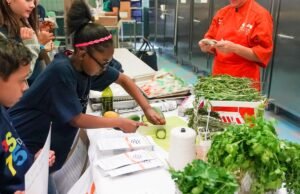 La Junta de Regentes impone un plan de estudios ‘climático’ mientras los niños de Nueva York todavía tienen dificultades con las matemáticas y la lectura