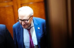 Los demócratas centristas deben vencer a los socialistas en su propio juego