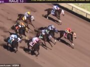 Momento impactante: caballo de carreras rico en metanfetamina se lanza por la pista a toda velocidad