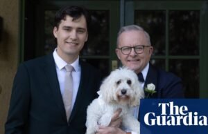 Toto usando anillos de boda en una boda albanesa no es nada nuevo ya que más animales se unen a las parejas para decir “Sí, quiero” | Bodas