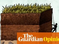 Mientras tomamos una pinta en Oxford, es posible que nos hayamos topado con el santo grial de la agricultura | Georges Monbiot