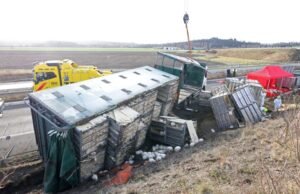Miles de gallinas mueren en accidente en carretera alemana