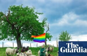 Pero no para las ovejas: “oveja gay” escapan del matadero e invaden un podio neoyorquino | Moda