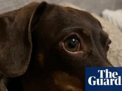 Cuestionario de actualidad del jueves: últimos recordatorios y preguntas diabólicas | vida y estilo