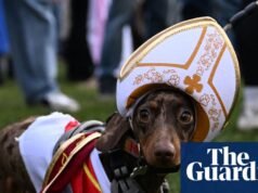 Tarde de juego con los perros: Los perros salchicha invaden Hyde Park para dar un paseo navideño | Perros