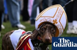 Tarde de juego con los perros: Los perros salchicha invaden Hyde Park para dar un paseo navideño | Perros