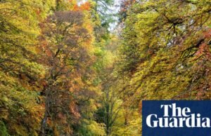 ‘Es como cruzar el techo del mundo’: el nuevo paseo por el techo de Inglaterra desde los Peninos | Vacaciones en Northumberland
