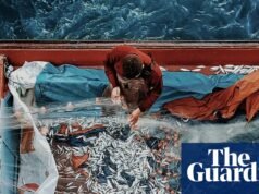 “Subí a un edificio para tomar esta foto”: la mejor foto tomada por Ahmad Mansour | Fotografía