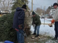 Un árbol sentimental brillará durante la retransmisión anual de la Liga Ártica