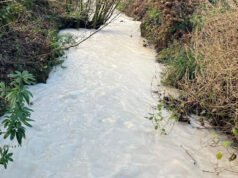 Los flujos deben verificarse después de que la corriente se haya vuelto blanca.