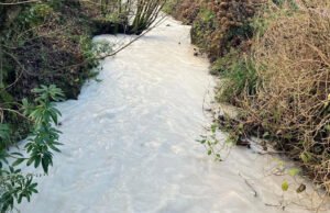 Los flujos deben verificarse después de que la corriente se haya vuelto blanca.