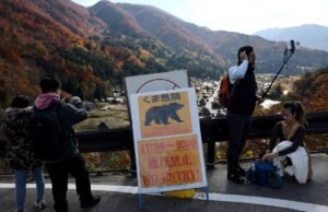 Popular ciudad japonesa coloca carteles en cuatro idiomas advirtiendo a los turistas sobre ataques de osos
