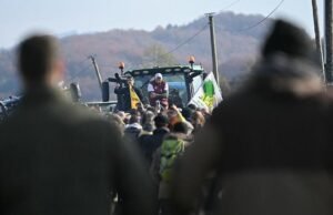 Los agricultores piden un bloqueo francés contra la enfermedad de las vacas