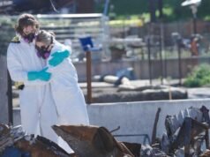 Ondi Timoner explica cómo su médico de bomberos de Altadena pretende acabar con las convulsiones