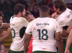 El sudafricano Eben Etzebeth suspendido 12 partidos por lesión ocular