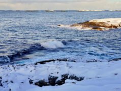 Los científicos están haciendo sonar la alarma sobre una amenaza emergente a miles de kilómetros de distancia: esto es lo que necesita saber