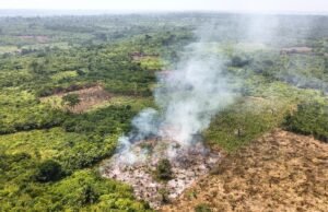 Los bosques africanos se han convertido en una fuente de emisiones de carbono