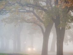 Cómo conducir de forma segura con niebla intensa