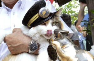 El amado gato del jefe de estación muere a los 15 años, más de 500 personas asisten al funeral de Feline