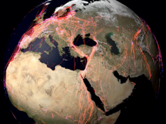 Los científicos relanzan el “Internet de los animales”