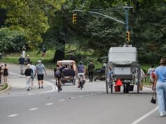 El plan para traer más bicicletas eléctricas mortales a Central Park es una locura