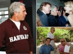 Michael Goodwin: Este último lote de fotografías incompletas de Jeffrey Epstein demuestra que es hora de poner fin a la obsesión bipartidista