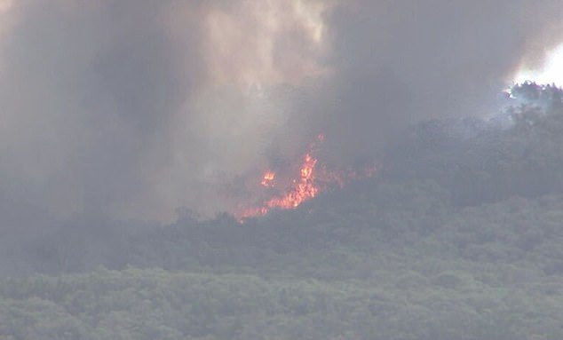 105296021-15441099-Three_emergency_bushfire_warnings_have_been_issued_in_Victoria-m-34_1767773357075.jpeg