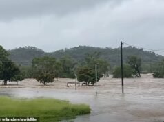 El derrame de la presa desencadena una orden de evacuación mientras fuertes lluvias azotan Queensland y el resto del país se ahoga