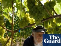 Carta: obituario de Peter Hall | Ópera