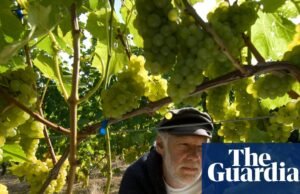 Carta: obituario de Peter Hall | Ópera