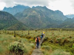 En lugar del Kilimanjaro, camina por el Monte Meru y estos otros 4 picos