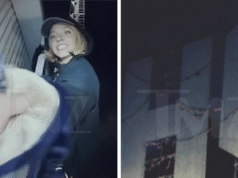 Sydney Sweeney trepa al cartel de Hollywood usando sujetadores en un movimiento legalmente riesgoso