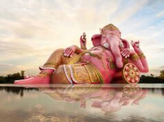 Los elefantes son venerados como dioses, pero su estatus sagrado no siempre los protege